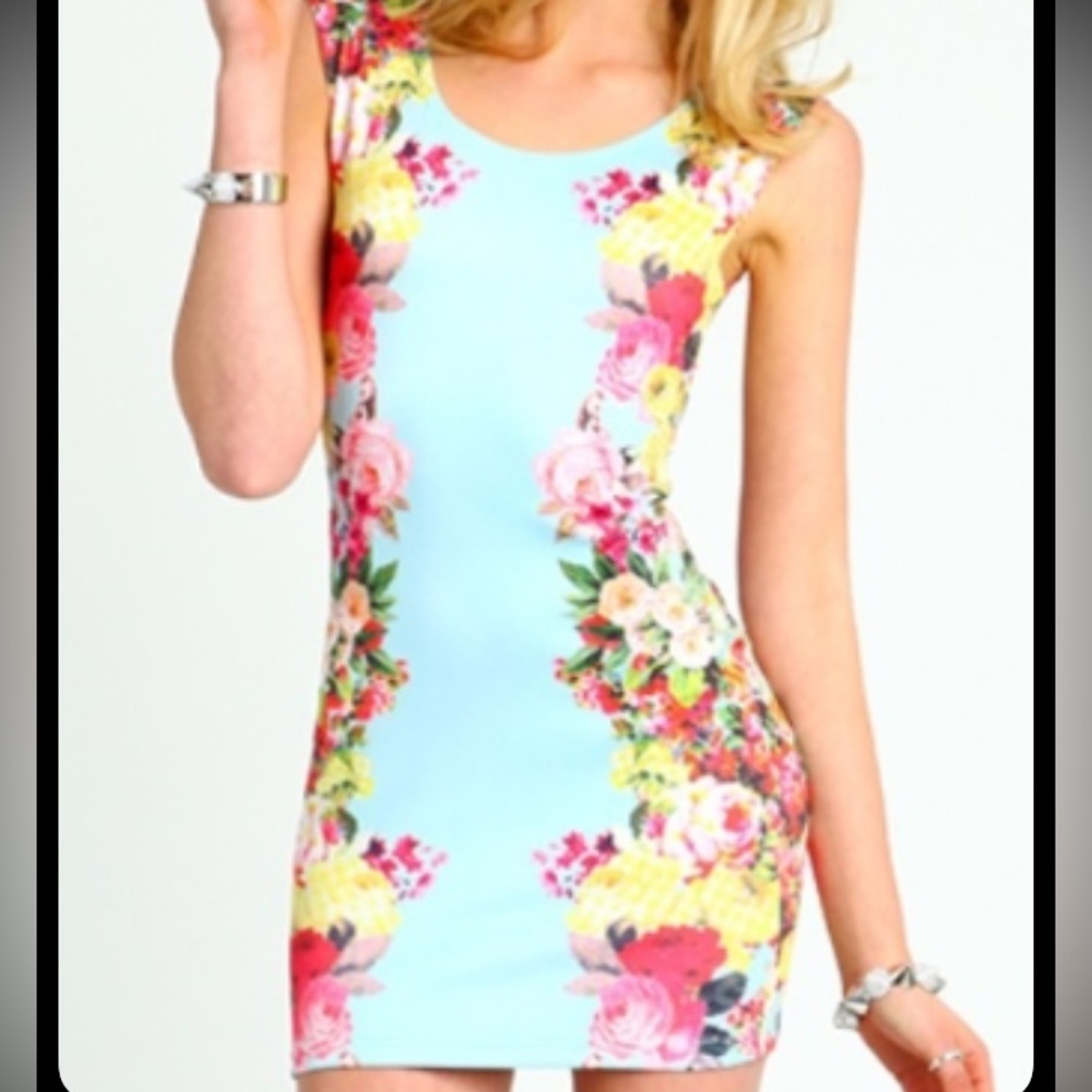 Floral Sleeveless Dress - Blue and Pink